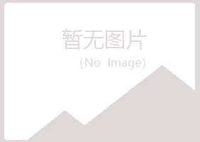 日照岚山惜霜化学有限公司